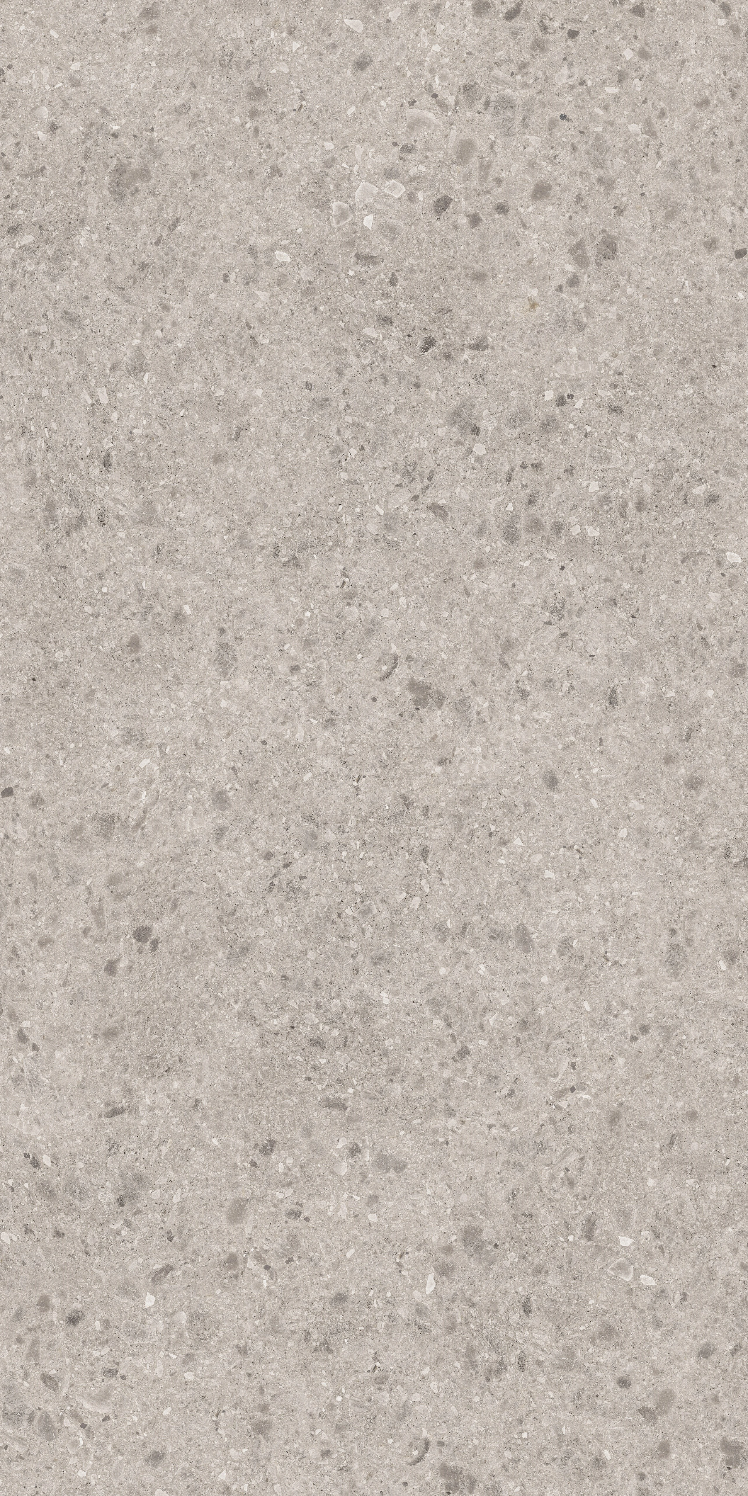 Terrazzo Gray stone slab