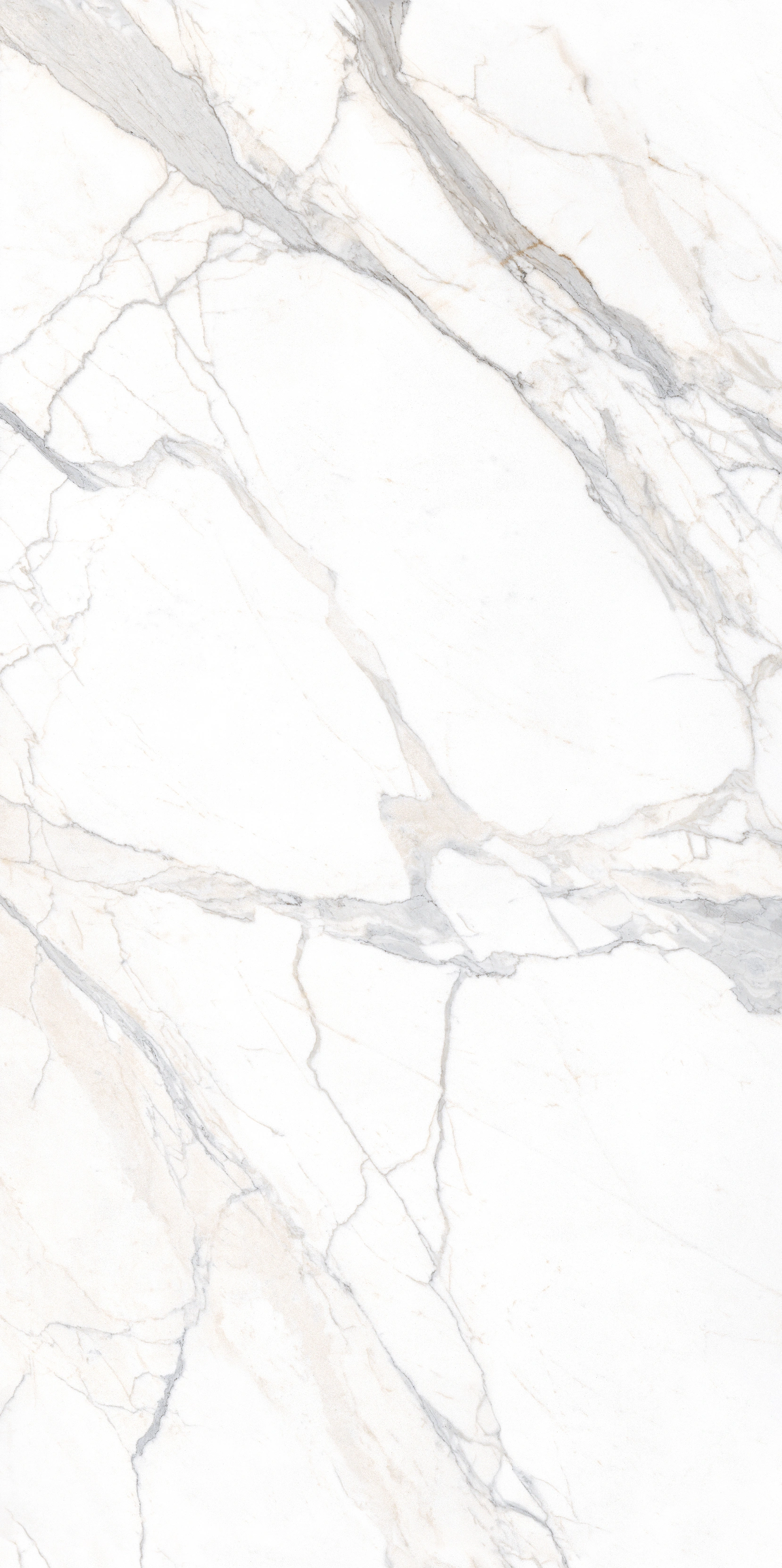 Deluxe Calacatta Gold stone slab