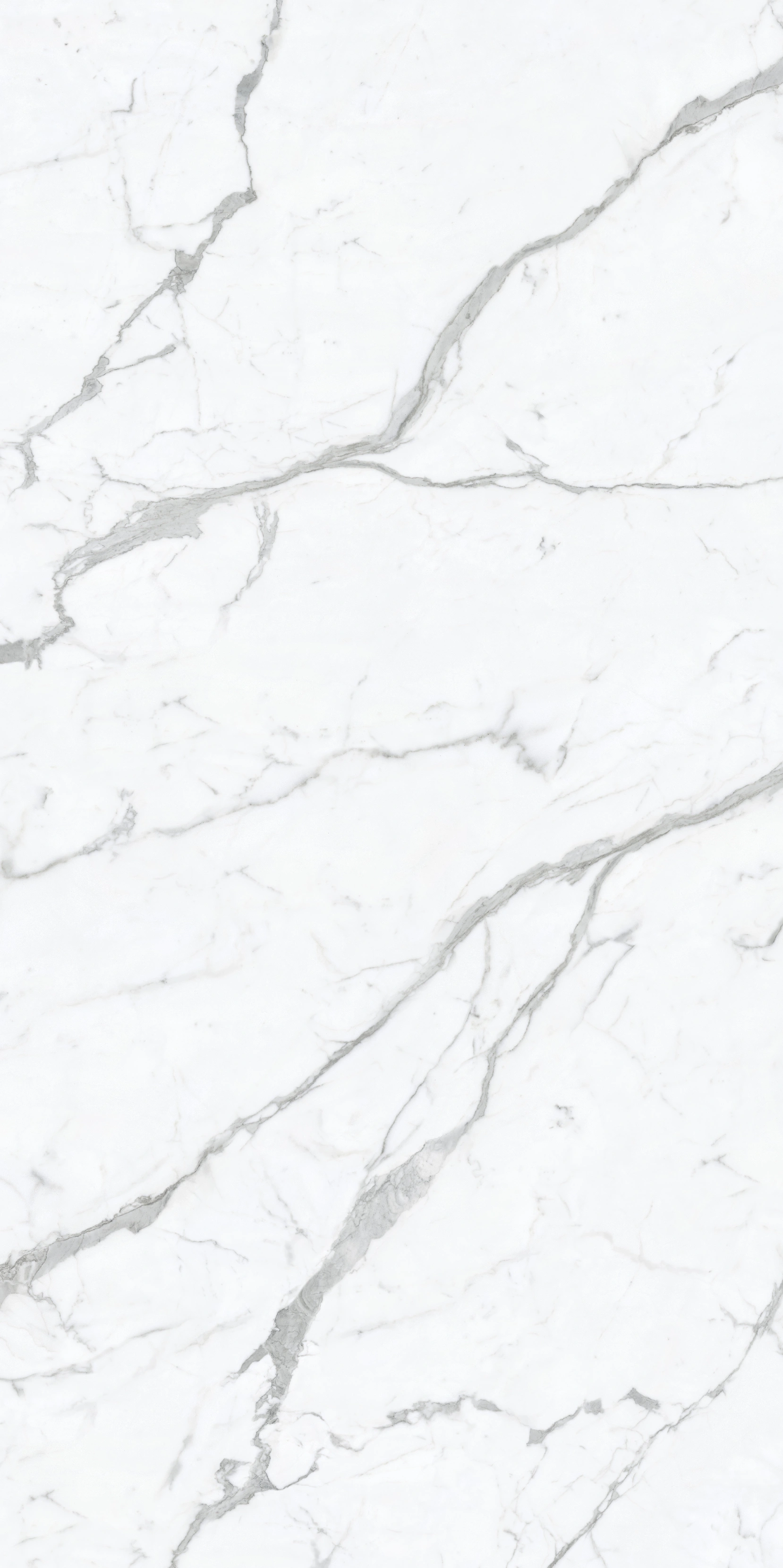Fineline Calacatta stone slab