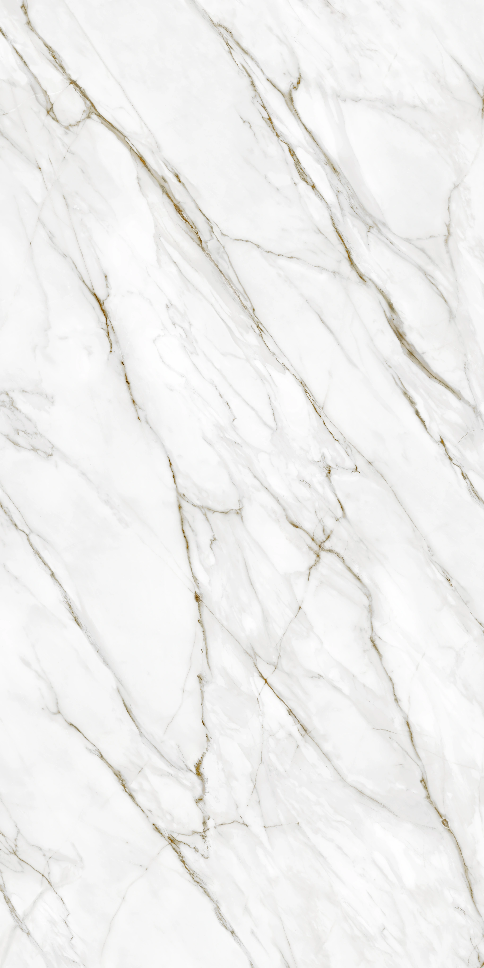 Bianco Gold stone slab