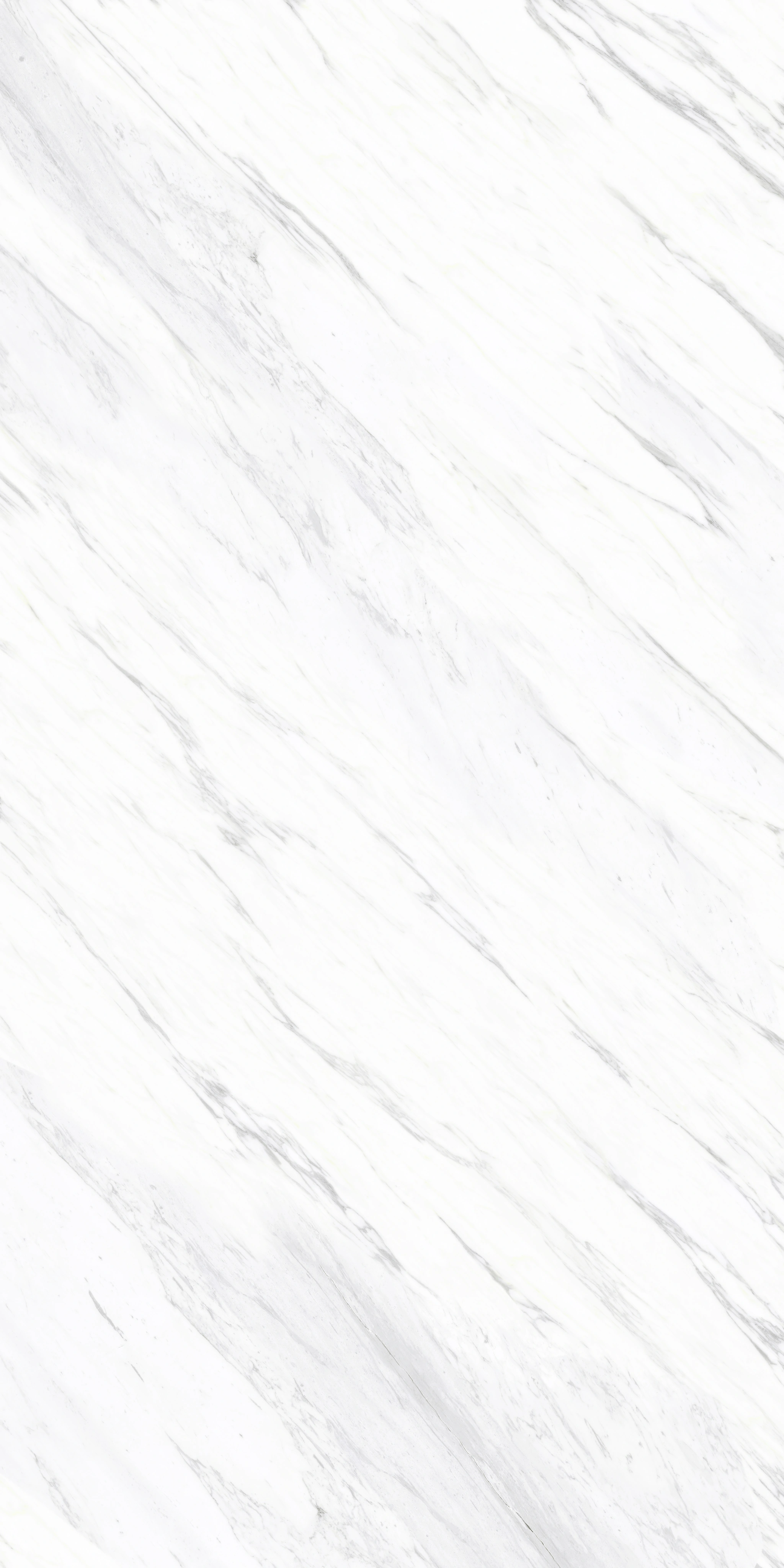 Bianco Elegance stone slab